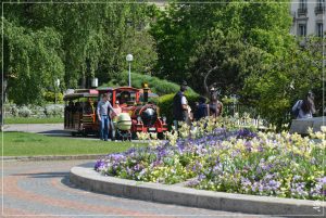 The English Garden, where the light and shade create a magical charm.